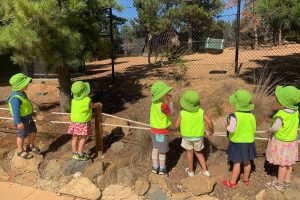 wattle excursion day care